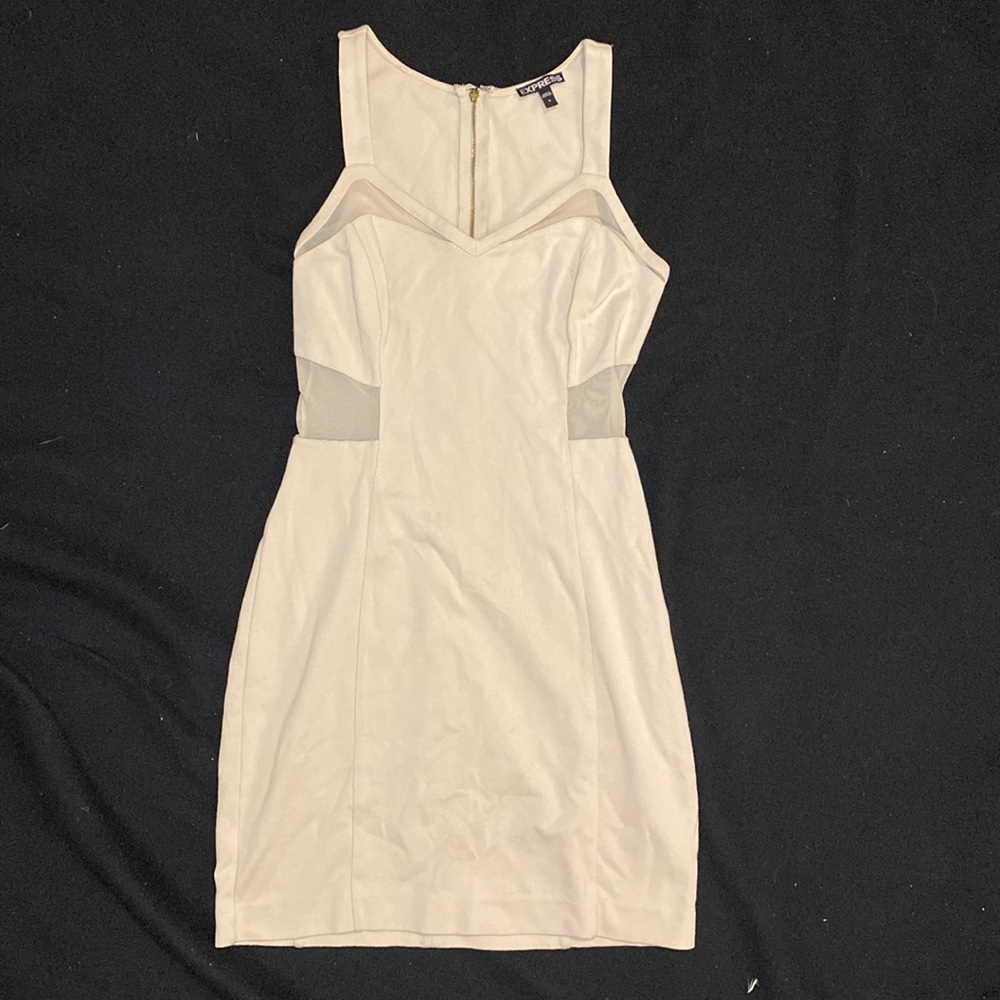 Express Nude Mesh Cutout Dress